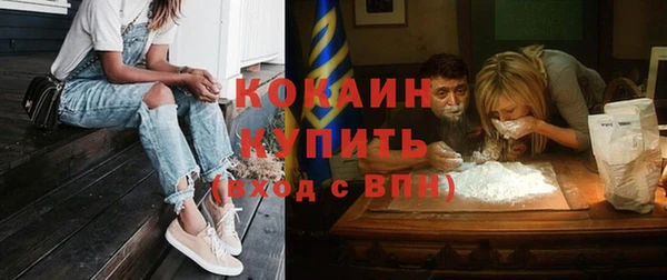 мдпв Заводоуковск