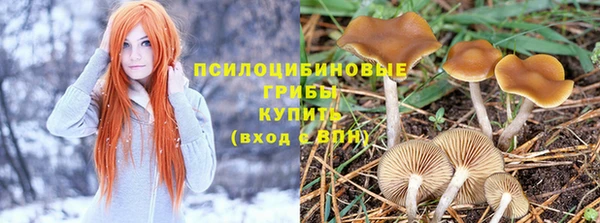 мяу мяу мука Переславль-Залесский