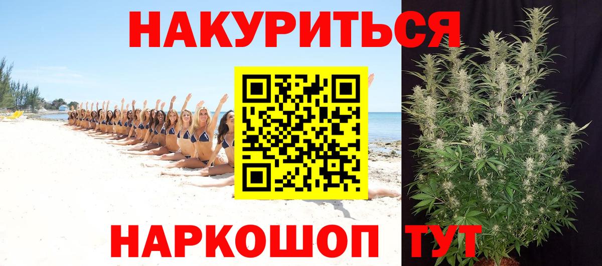 Марихуана конопля Отрадное